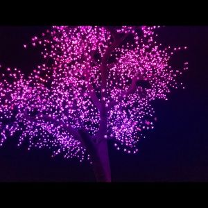 Meet your Posher, Meleanie